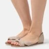 Anna Field LEATHER - Riemensandalette - Taupe -Anna Field Verkaufsgeschäft 12e781ee03e84ab5b5237ccd36ae10e4